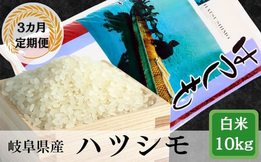 ≪令和6年産≫ 【3か月定期便】 岐阜 ハツシモ （約10kg×3回） 427529 - 岐阜県垂井町