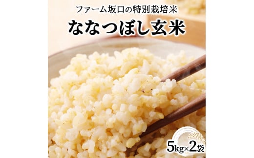 寄附額改定↓ 令和6年産！ファーム坂口の特別栽培米 ななつぼし玄米 10kg (5kg×2袋) 1720210 - 北海道岩見沢市