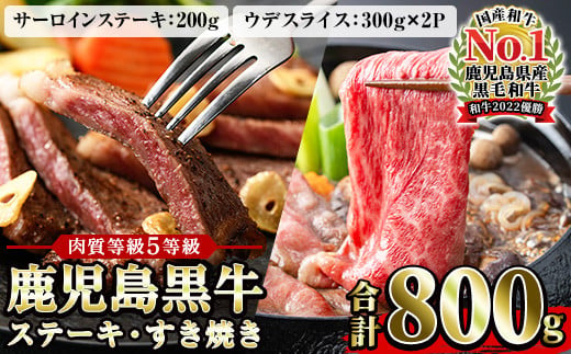 鹿児島黒牛 食べ比べ 800g サーロイン ステーキ 200g×1P ウデ スライス 600g（300g×2P） A5等級 内閣総理大臣賞受賞！日本一 の 鹿児島黒牛 冷凍 小分け の 国産 鹿児島県産 ステーキ スライス肉の詰め合わせ 【H-701】【C-83H】