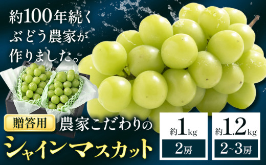 シャインマスカット 贈答用 農家こだわりの シャインマスカット 2房 約1または 2〜3房 約1kg 〜 1.2kg 先行予約 [2025年9月中旬-10月末頃出荷(土日祝除く)] Nini farm マスカット 送料無料 岡山県 浅口市 フルーツ 果物 贈り物 国産 岡山県産 くだもの 果物 青果物