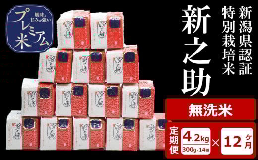 【12ヶ月定期便】甘味の強いプレミアム米 新潟県認証特別栽培米 新之助 無洗米 真空パック 4.2kg（300g×14個）×12回（計 50.4kg）アグリーホンマ[Y0383]