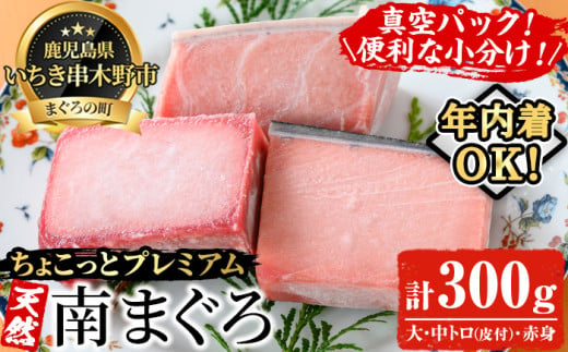 【年内着OK 12/22まで受付】天然! 南マグロ 真空 冷凍 大トロ 100g 中トロ 100g 赤身 100g 合計300g ☆ちょこっとプレミアム☆ 希少 な ミナミマグロ のフルセット 南まぐろ 刺身 小分け プチ贅沢 【A-1654H】 1363555 - 鹿児島県いちき串木野市