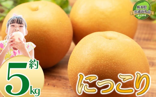 【2025年先行予約】JAうつのみやから直送 栃木県の特産の大きな梨 にっこり 5kg | 梨 なし 新品種 先行予約 大粒 新鮮 甘い 美味しい 果物 共通返礼品 フルーツ デザート 栃木県 那珂川町 送料無料 1532883 - 栃木県那珂川町