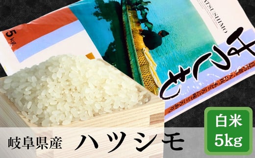 ≪令和6年産≫ 新米 岐阜 ハツシモ 約5kg 427314 - 岐阜県垂井町