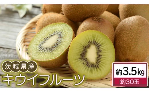 茨城県産 キウイ フルーツ 3.5kg (約 30玉 ) 果物 キウイフルーツ 先行予約 数量限定 甘い 旬 国産 [DB001ci]