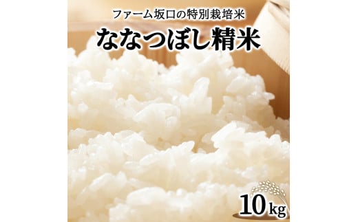 寄附額改定↓ 令和6年産！ファーム坂口の特別栽培米 ななつぼし精米 10kg (10kg×1袋) 1720208 - 北海道岩見沢市