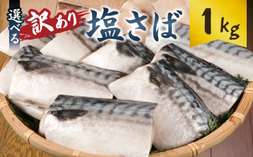 訳あり 塩サバ切身 約1kg  ノルウェー産 冷凍 ｻﾊﾞ 鯖 塩サバ 塩鯖 鯖切身 鯖切り身 サバ切身 サバ切り身 切り身 切身 海鮮 魚 大容量 青魚 おかず 惣菜 魚介 おつまみ 弁当 人気 冷凍食品 グルメ 贈答 贈物 ギフト 長期保存 小分け お取り寄せ BBQ 送料無料 ふるさと納税 ふるさと納税サバ 千葉県 銚子市 大一奈村魚問屋