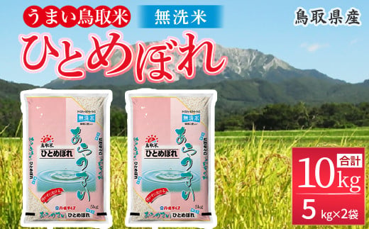 ＜無洗米＞鳥取県産ひとめぼれ（5kg×2袋） パールライス お米 米 こめ コメ 白米 ブランド おいしい 健康 産地直送 米10キロ 無洗米 ひとめぼれ 525872 - 鳥取県倉吉市