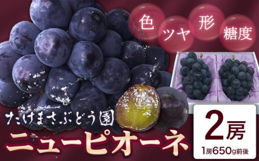 ぶどう ニューピオーネ 2房(1房650g前後) たけまさぶどう園 [7月中旬-10月上旬頃出荷]岡山県 浅口市 送料無料 フルーツ 果物 岡山県産 青果物 お取り寄せフルーツ[配送不可地域あり](離島)