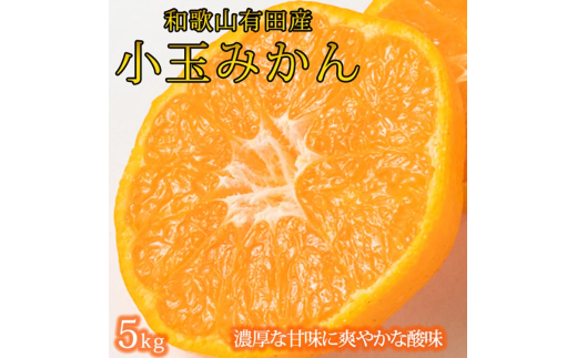 有田の小玉みかん5kg(S〜3Sサイズ混合)◇ |みかん ミカン 柑橘 果物 くだもの フルーツ 甘い 小玉 先行予約 国産 濃厚 絶妙 糖度 酸味 産地直送 美浜町 ※2025年11月下旬〜2026年1月下旬頃に順次発送予定