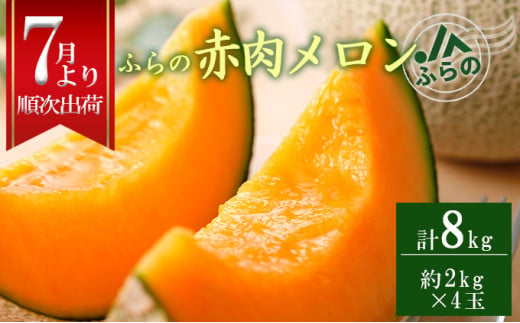 2025年夏発送 メロン 北海道 ふらの 赤肉 メロン 2kg×4玉 JAふらの 厳選 産地直送 赤肉 富良野メロン フルーツ 果物 果実 旬 旬のくだもの デザート おやつ ギフト プレゼント 贈答 贈答用 贈答品 贈り物 富良野 616414 - 北海道南富良野町