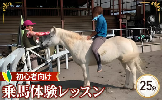 No.377 【シエナ乗馬クラブ】乗馬体験レッスン ／ 馬 乗馬 体験 自然 初心者 埼玉県 1723605 - 埼玉県狭山市