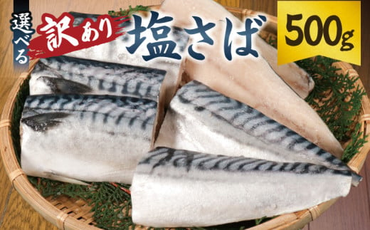 訳あり 塩サバ切身 約500g ノルウェー産 冷凍 ｻﾊﾞ 鯖 塩サバ 塩鯖 鯖切身 鯖切り身 サバ切身 サバ切り身 切り身 切身 海鮮 魚 大容量 青魚 おかず 惣菜 魚介 おつまみ 弁当 人気 冷凍食品 グルメ 贈答 贈物 ギフト 長期保存 小分け お取り寄せ BBQ 送料無料 ふるさと納税 ふるさと納税サバ 千葉県 銚子市 大一奈村魚問屋