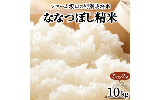 寄附額改定↓ 令和6年産！ファーム坂口の特別栽培米 ななつぼし精米 10kg (5kg×2袋) 1720206 - 北海道岩見沢市