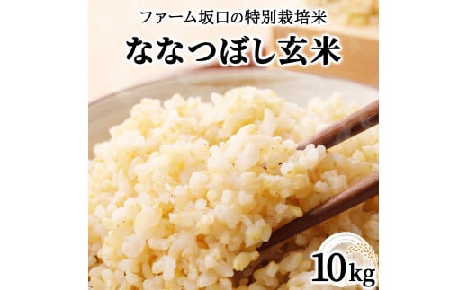 寄附額改定↓ 令和6年産！ファーム坂口の特別栽培米 ななつぼし玄米 10kg (10kg×1袋) 1720212 - 北海道岩見沢市