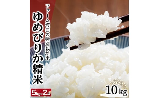 寄附額改定↓ 令和6年産！ファーム坂口の特別栽培米 ゆめぴりか精米 10kg (5kg×2袋) 1720226 - 北海道岩見沢市