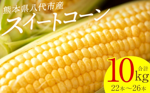 とうもろこしのふるさと納税 カテゴリ・ランキング・一覧【ふるさとチョイス】