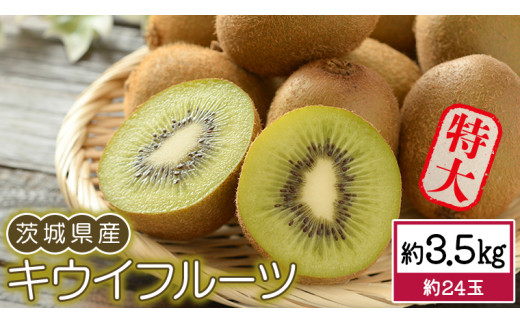 茨城県産 キウイ フルーツ 特大 約 3.5kg 大玉 果物 キウイフルーツ 先行予約 数量限定 甘い 旬 国産 [DB003ci]