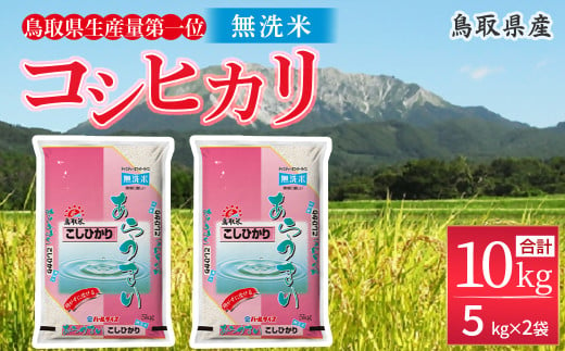 ＜無洗米＞鳥取県産 コシヒカリ 10kg（5kg×2） パールライス 精米 お米 米 こめ コメ 白米 こしひかり コシヒカリ ブランド おいしい 健康 産地直送 米10キロ 無洗米 514111 - 鳥取県倉吉市