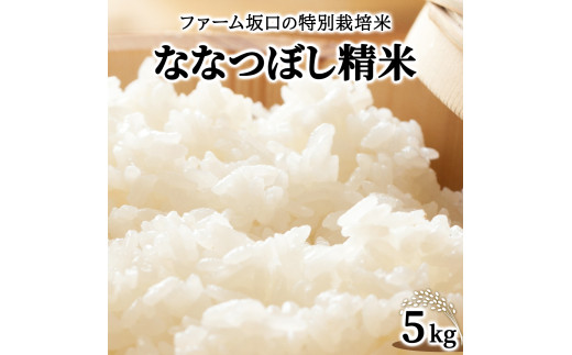 寄附額改定↓ 令和6年産！ファーム坂口の特別栽培米 ななつぼし精米 5kg 1720207 - 北海道岩見沢市