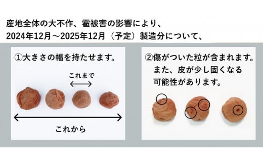 和歌山県みなべ町のふるさと納税 【大容量・常温保管可能 】天日塩と紫蘇だけで漬けた無添加梅干し2kg／南高梅 B-405