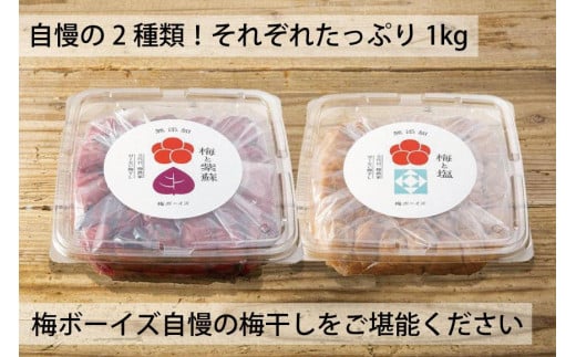 和歌山県みなべ町のふるさと納税 【無添加梅干し】塩梅干し1kgと紫蘇梅干し1kgのセット　B-602