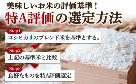 さがびより 5kg ごはん 米 お米