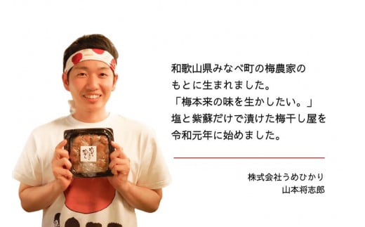 和歌山県みなべ町のふるさと納税 【無添加梅干し】ミネラル豊かな天日塩だけで漬けた梅干し／南高梅　A-404