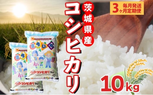 【3ヶ月定期便】 茨城県産 こしひかり 精米 10kg 定期便 コシヒカリ 茨城県 米 ごはん ご飯 おにぎり ブランド米 人気 国産 常備 産地直送 お取り寄せ 送料無料 結城市 [№5802-1069] 1723350 - 茨城県結城市