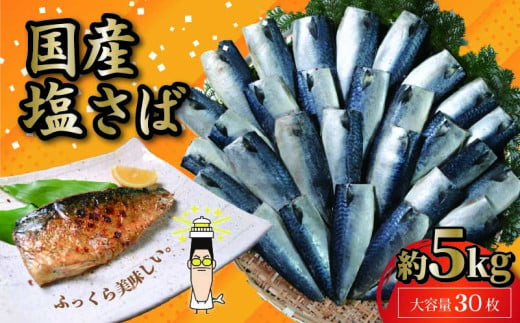 国産 塩サバフィレ 30枚 約5kg 鯖 塩 さば 魚 さかな 海鮮 海産物 おかず サバ 鯖ご飯 おすすめ 人気 さば サバ 鯖 魚 魚介 海鮮 惣菜 塩サバ 塩鯖 焼き鯖 サバ 焼きさば 焼さば 減塩 塩 鯖 さば サバ ギフト おすすめ 人気 ふるさと納税 鯖 サバ さば ふるさと納税さば 国産サバ 国産さば 鯖 サバ さば 鯖 千葉県 銚子市 株式会社 大成