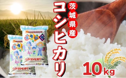 茨城県産 こしひかり 精米 10kg コシヒカリ 茨城県 お米 白米 米 コメ rice ごはん ご飯 おにぎり ブランド米 人気 国産 常備 産地直送 お取り寄せ 送料無料 結城市 [№5802-1068] 1723349 - 茨城県結城市