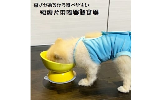 【ペット用品】陶器製 短頭犬用食器　アイボリー（ホワイト）／CHOB3_536137 奈良県 奈良市 なら 10-092