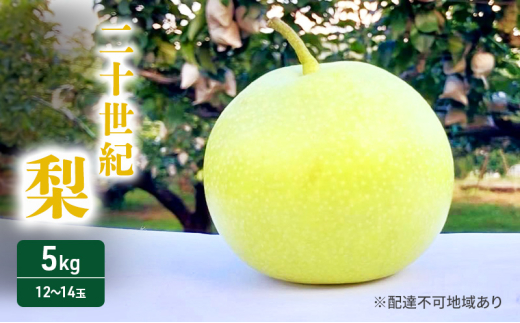 [№5895-0688]梨 2025年 先行予約 二十世紀梨 5kg 12～14玉 果物 なし 広島県 安芸高田市