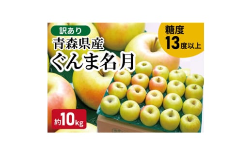 ＜黒石市産＞糖度13度以上保証!ぐんま名月訳アリ家庭用約10kgりんご ※離島・沖縄は配送不可【1521281】