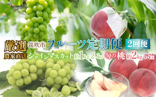 ＜25年発送先行予約＞笛吹市産　厳選!農家直送「フルーツ定期便2回便」桃 約2キロ(4～7玉)6月～8月 シャインマスカット約1.0キロ(2～3房) 9月～10月 205-006 881867 - 山梨県笛吹市