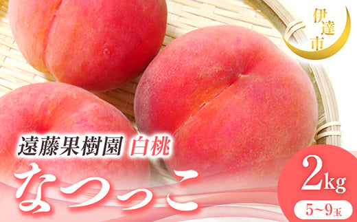 2025年出荷分 先行予約 福島県産 なつっこ 2kg 2025年8月上旬～2025年8月中旬発送 先行予約 予約 伊達の桃 伊達市 桃 贈り物 贈答 ギフト もも モモ 果物 くだもの フルーツ 国産 食品 F21C-006 1733764 - 福島県伊達市