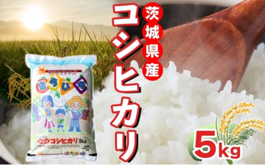 茨城県産 こしひかり 精米 5kg コシヒカリ 茨城県 お米 白米 米 コメ rice ごはん ご飯 おにぎり ブランド米 人気 国産 常備 産地直送 お取り寄せ 送料無料 結城市 [№5802-1067] 1723348 - 茨城県結城市