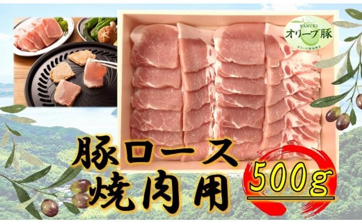 オリーブ豚　ロース焼肉用　500g 1711714 - 香川県高松市