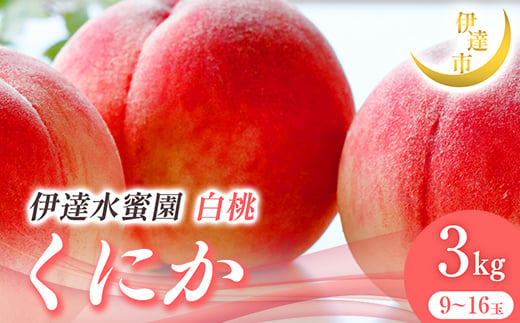 2025年出荷分 先行予約 福島県産 くにか 3kg 2025年8月中旬～2025年8月下旬発送 先行予約 予約 伊達の桃 伊達市 桃 贈り物 贈答 ギフト もも モモ 果物 くだもの フルーツ 国産 食品 F21C-015 1733728 - 福島県伊達市