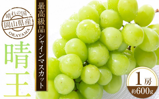 [HS]ぶどう 2025年 先行予約 9月・10月発送 最高級品シャイン マスカット 晴王 1房 約600g【ブドウ 葡萄  岡山県産 船穂産 フルーツ 果物 ギフト】 1519374 - 岡山県倉敷市 | 25,000円