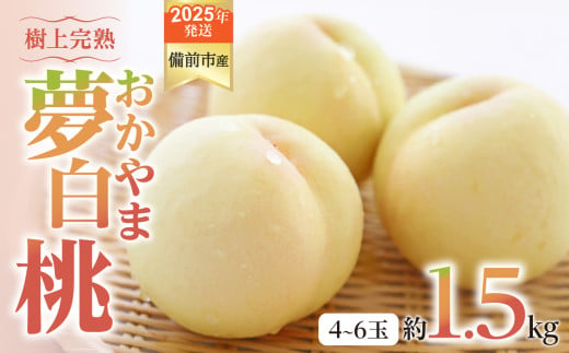 【2025年発送】びぜん白桃　おかやま夢白桃　約1.5kg 【 岡山県備前市産 おかやま夢白桃 約1.5kg（４～６玉目安）】 1258294 - 岡山県備前市