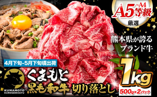 牛肉 すき焼き しゃぶしゃぶ A4～A5等級 黒毛和牛 切り落とし くまもと黒毛和牛 A4 または A5 1000g (500g × 2 )  1kg 牛肉 冷凍 《4月下旬-5月下旬頃出荷》冷凍庫 個別 取分け 小分け 個包装 ブランド牛 黒毛和牛 牛 1757608 - 熊本県荒尾市