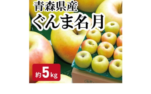 ＜黒石市産＞糖度13度以上保証!ぐんま名月おもてなし用約5kgりんご ※離島・沖縄は配送不可【1521278】