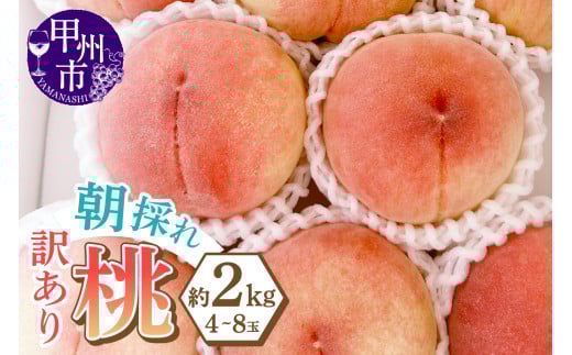 味自慢桃【訳あり品】を感謝込めて朝どれでお贈りします！約2kg（4～8玉）【2025年発送】（LMS）A07-415 【桃 もも モモ 令和7年発送 期間限定 山梨県産 甲州市 フルーツ 果物】 1164127 - 山梨県甲州市
