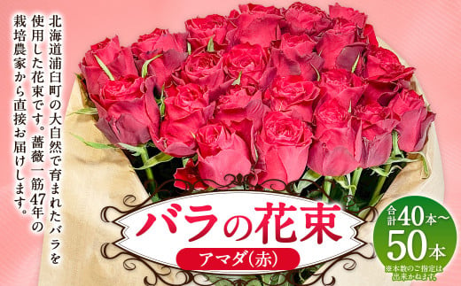 バラの花束 アマダ（赤）（40‐50本）| 花 バラ 薔薇 ローズ 生花 花束 ブーケ 赤 贈り物 プレゼント ギフト【2025年5月下旬～11月下旬まで発送予定】 1720533 - 北海道浦臼町