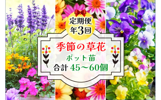 高成園 季節の切り花 ひまわり【2024年6月上旬以降配送】切花 生花 つぼみ ヒマワリ 向日葵 フラワー [0158] - 埼玉県杉戸町｜ふるさとチョイス  - ふるさと納税サイト