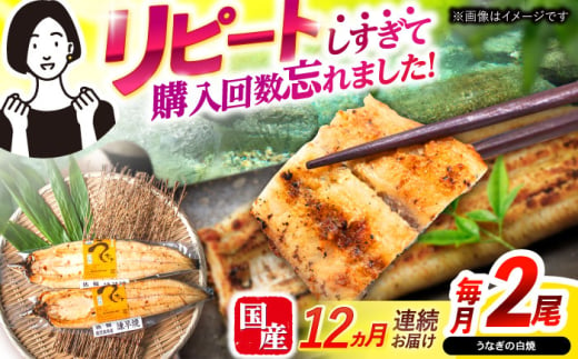 【12回定期便】【諫早淡水】うなぎ白焼き2尾  / うなぎ 白焼き 栄養価 小分け 冷凍 / 諫早市 / 諫早淡水 [AHAT047] 1714288 - 長崎県諫早市