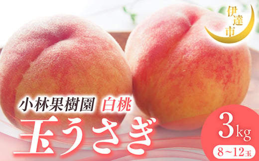 2025年出荷分 先行予約 福島県産 玉うさぎ 3kg 2025年9月上旬～2025年9月中旬発送 先行予約 予約 伊達の桃 伊達市 桃 もも モモ 果物 くだもの フルーツ 名産品 国産 食品 F21C-010 1733723 - 福島県伊達市