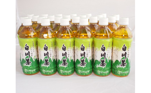 白川茶 ペットボトル 500ml×24本入 緑茶 お茶 岐阜 白川町 / 白川園本舗 [AWAT001] 727467 - 岐阜県白川町