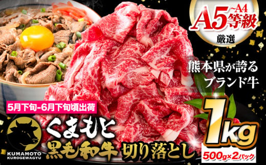 牛肉 すき焼き しゃぶしゃぶ A4～A5等級 黒毛和牛 切り落とし くまもと黒毛和牛 A4 または A5 1000g (500g × 2 )  1kg 牛肉 冷凍 《5月下旬-6月下旬頃出荷》冷凍庫 個別 取分け 小分け 個包装 ブランド牛 黒毛和牛 牛 1757609 - 熊本県荒尾市